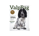 ValpBag